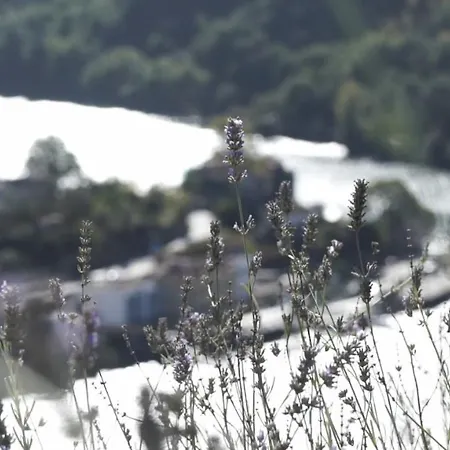 Casa De Ribadouro Baião