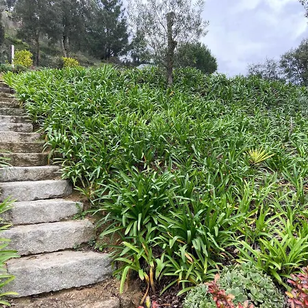 Casa De Ribadouro