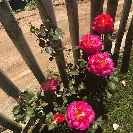 Casa De Ribadouro Privat bolig
