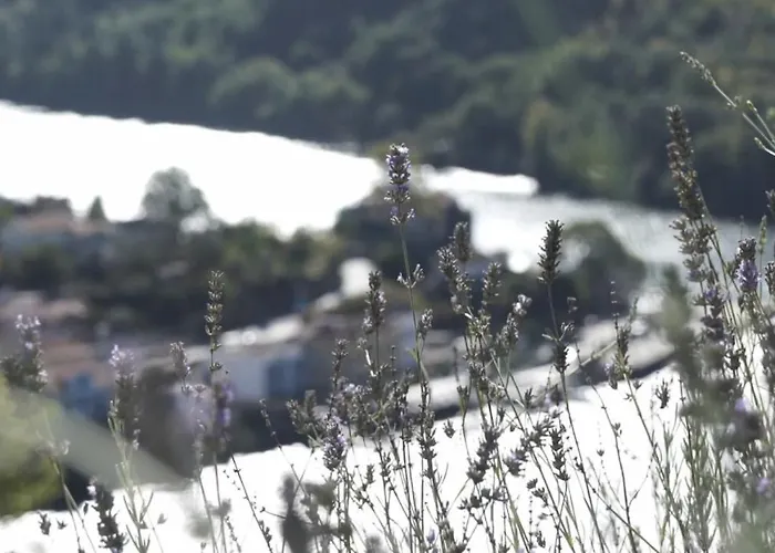 Casa De Ribadouro Baiao