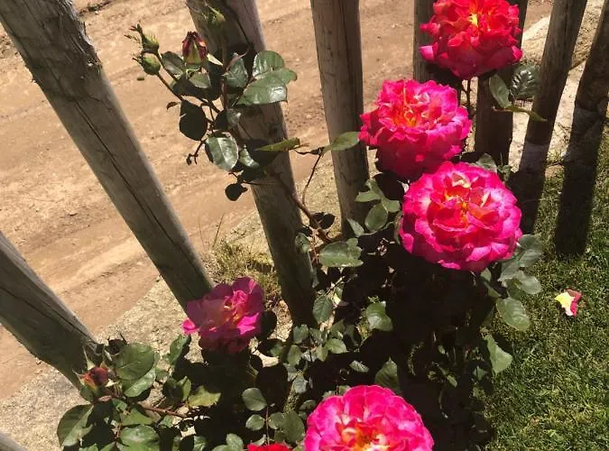 Casa De Ribadouro Kwatera prywatna