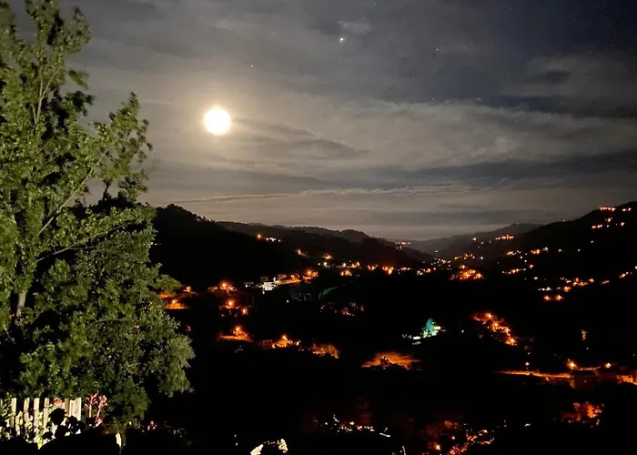 Pansiyon Casa De Ribadouro